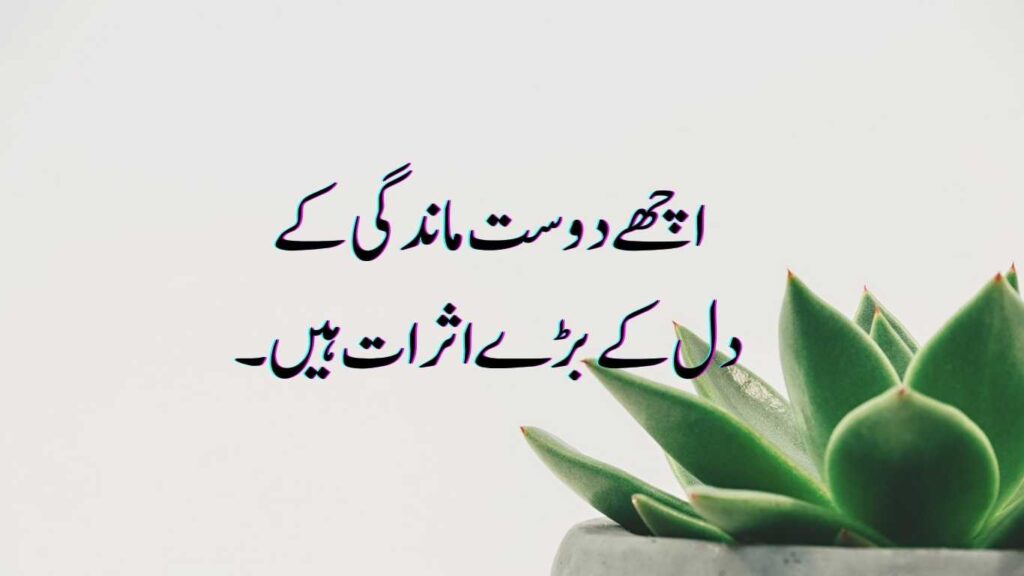 Friendship Quotes In Urdu 2024