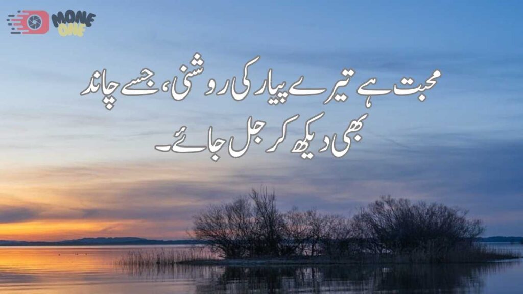 love quotes in urdu