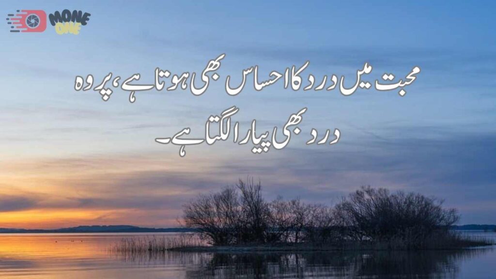 love quotes in urdu